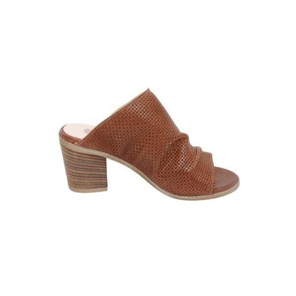 #color_Brown