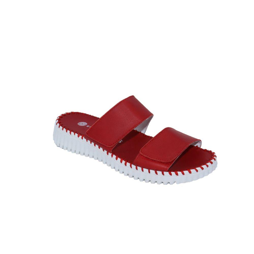 #color_Red