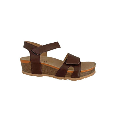 #color_BROWN