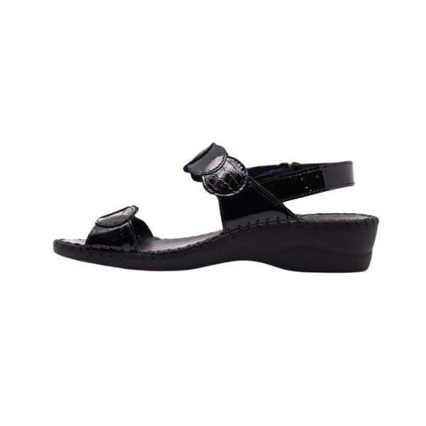 #color_Black Croco