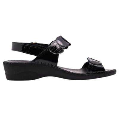 #color_Black Croco