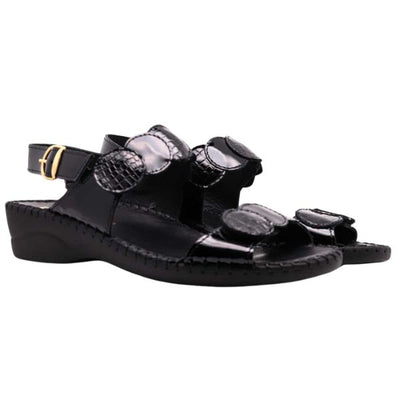 #color_Black Croco