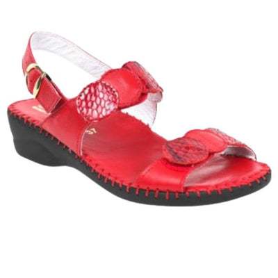 #color_Red Snake