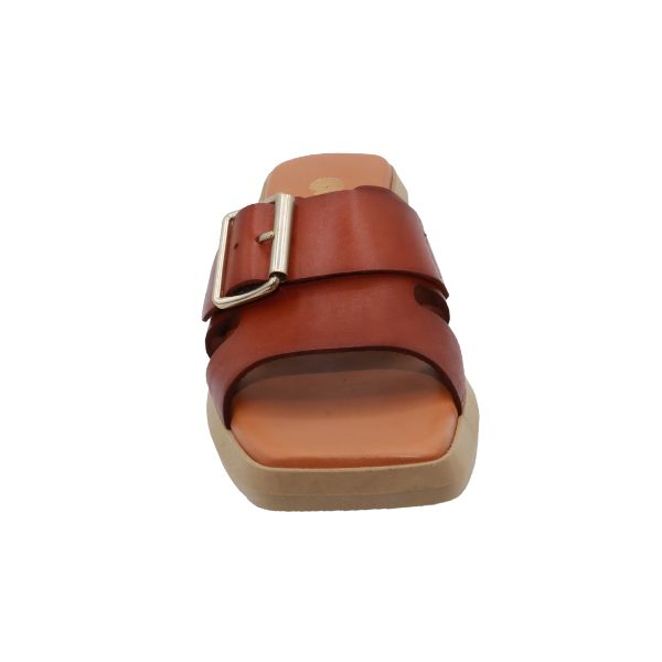 #color_BROWN