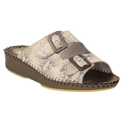 #color_Beige Python
