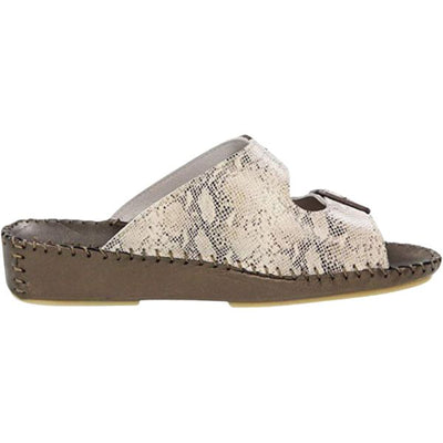 #color_Beige Python