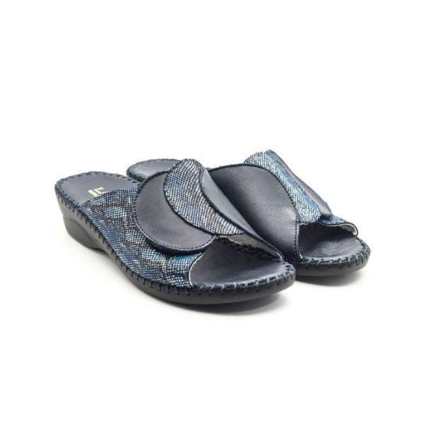 #color_Navy Python