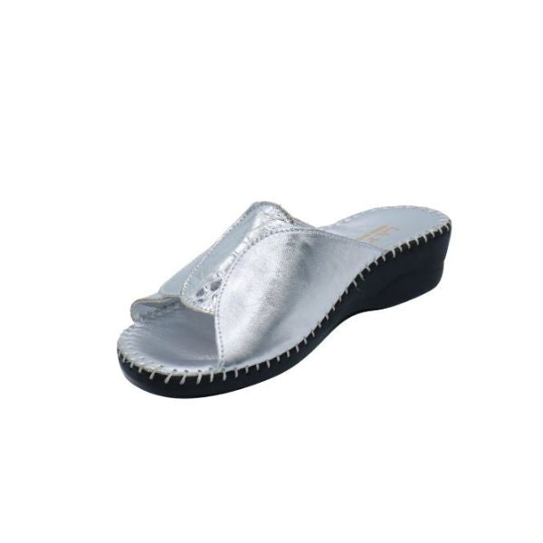 #color_Silver