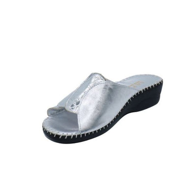 #color_Silver